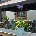 Haus Valentonio