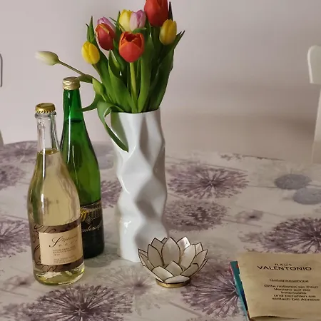 Haus Valentonio Zeltingen-Rachtig